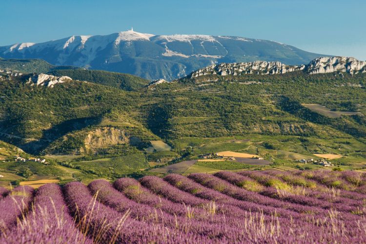 Le mont Ventoux