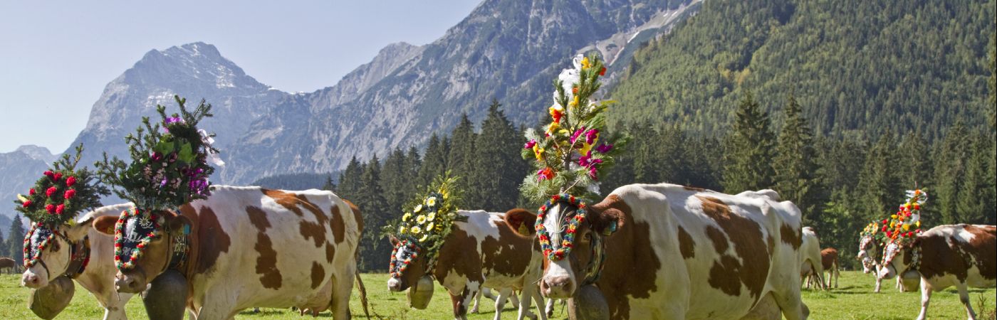 Fête de la transhumance au Tyrol