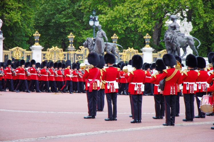 Garde royale à Buckingham Palace